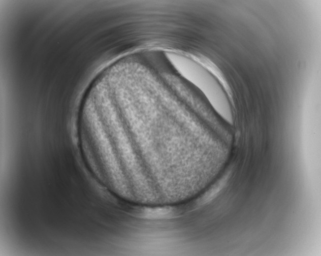 X0000088140997200706042005