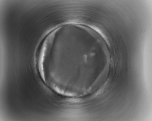 X0000088140998200706042005