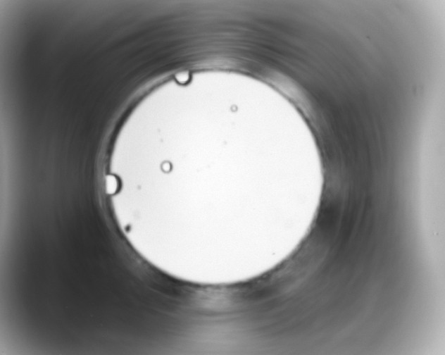 X0000088141000200706042005