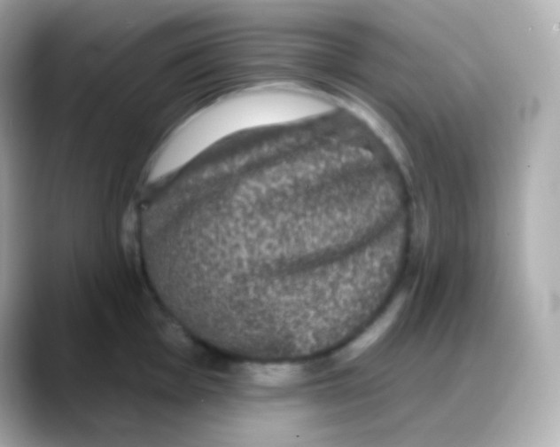 X0000088141001200706042005