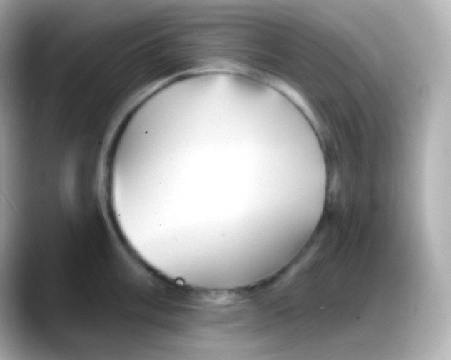 X0000088141003200706042005