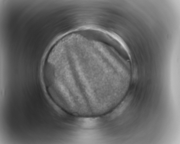 X0000088141005200706042005