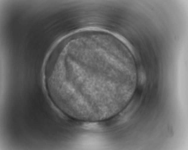 X0000088141006200706042005