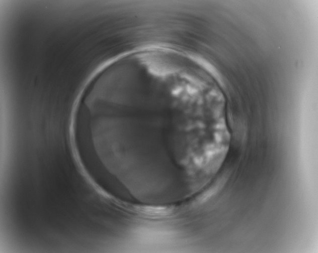 X0000088141007200706042005