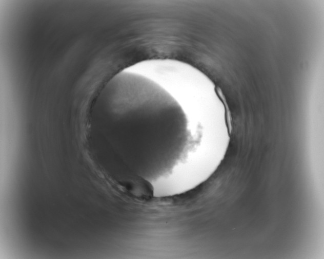 X0000088141009200706042004