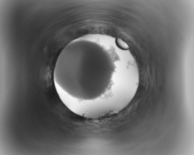 X0000088141013200706042004