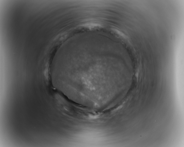 X0000088141014200706042004