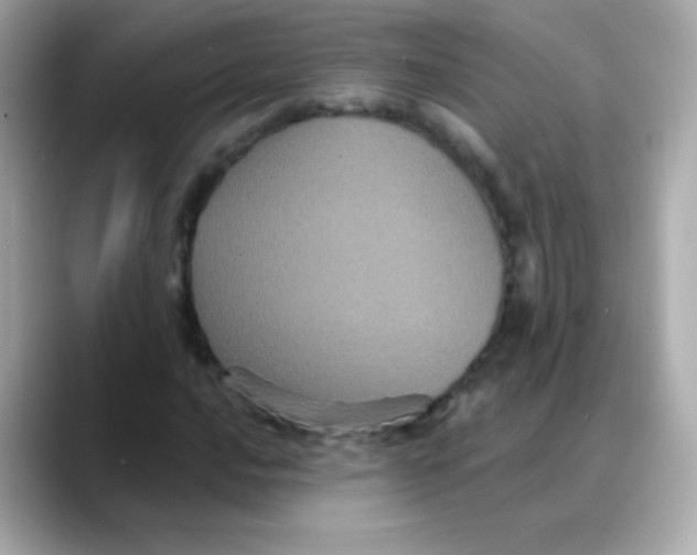 X0000088141016200706042004