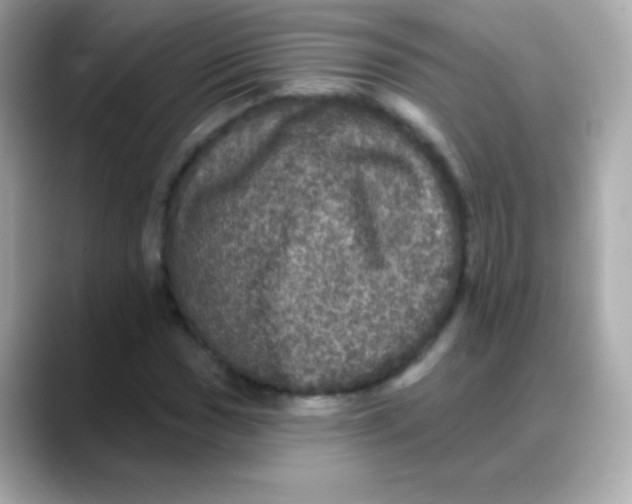 X0000088141017200706042004