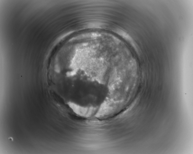 X0000088141019200706042005