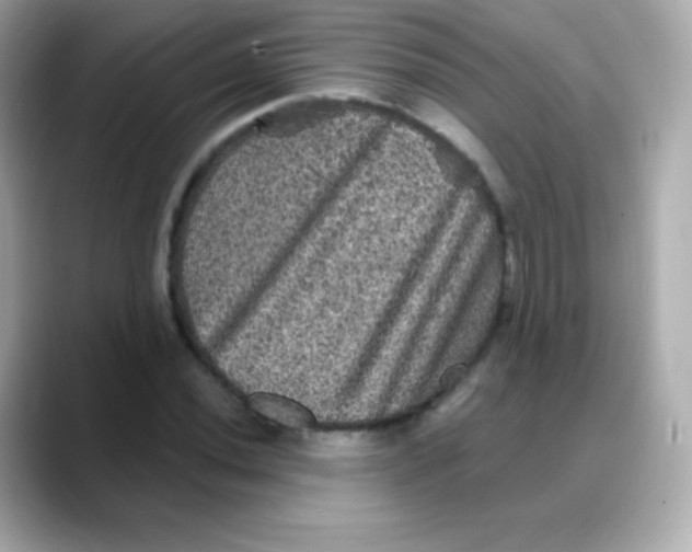 X0000088141020200706042005