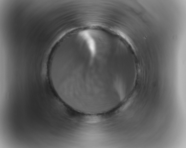 X0000088141023200706042005