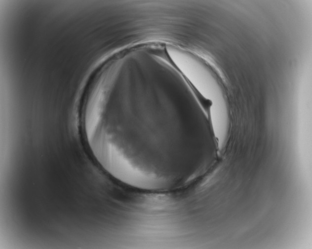 X0000088141024200706042005