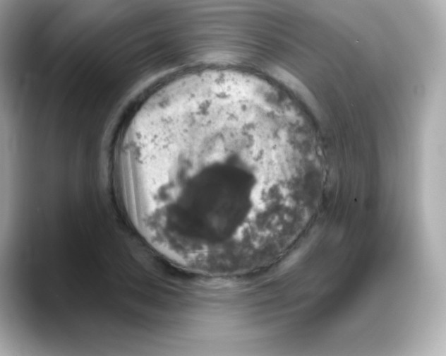 X0000088141027200706042005