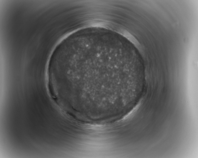 X0000088141028200706042005