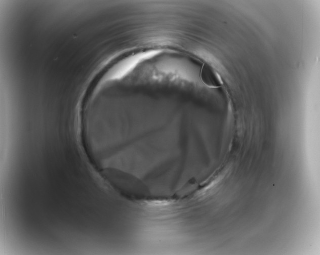 X0000088141031200706042005