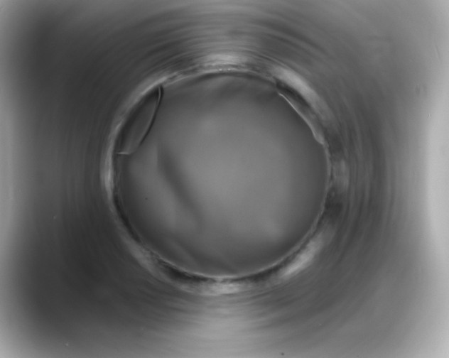 X0000088141034200706042005