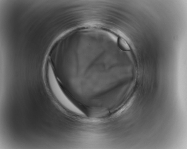 X0000088141037200706042005