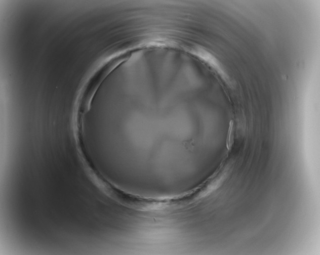 X0000088141038200706042005