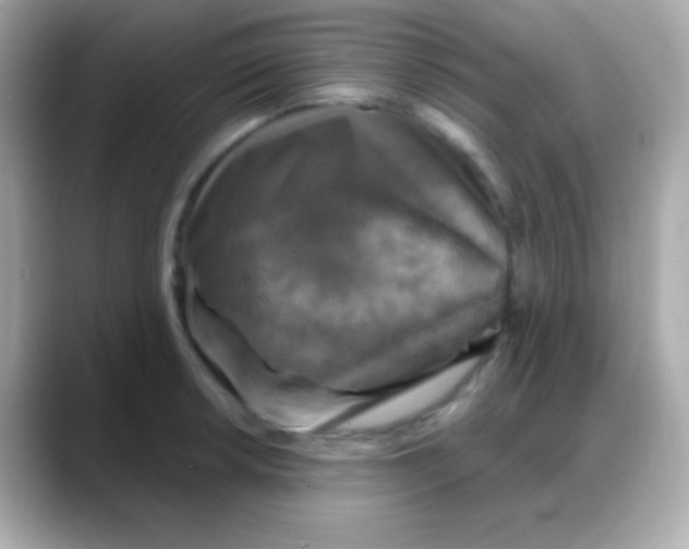 X0000088141042200706042005