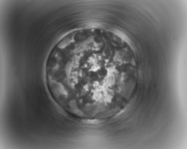 X0000088141047200706042005