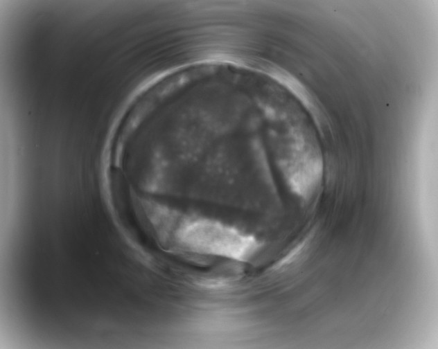 X0000088141048200706042005