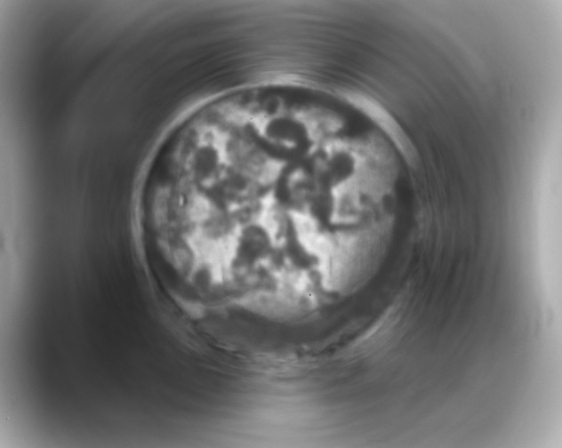 X0000088141051200706042005