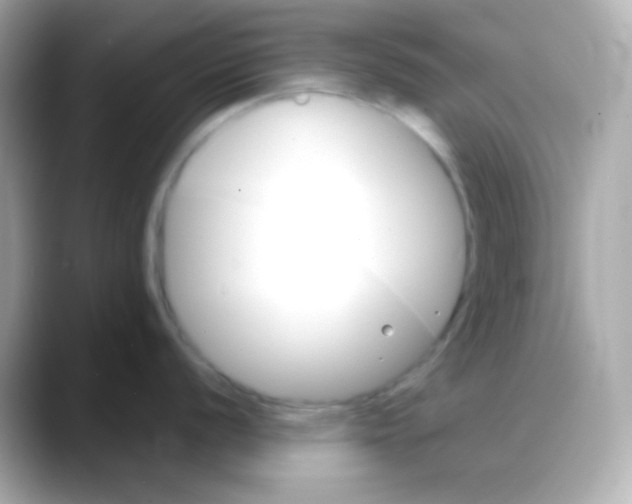 X0000088141056200706042005