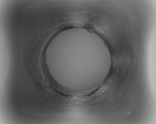 X0000088141057200706042004