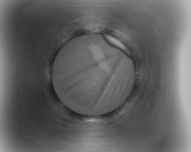 X0000088141058200706042004