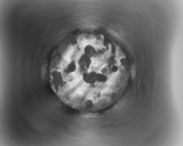 X0000088141059200706042004