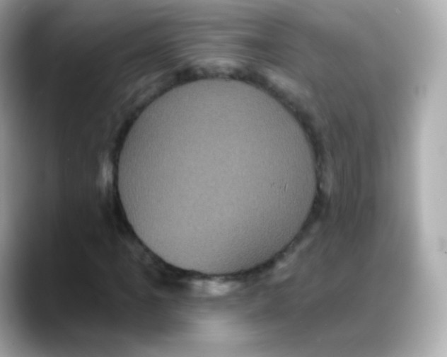 X0000088141061200706042004