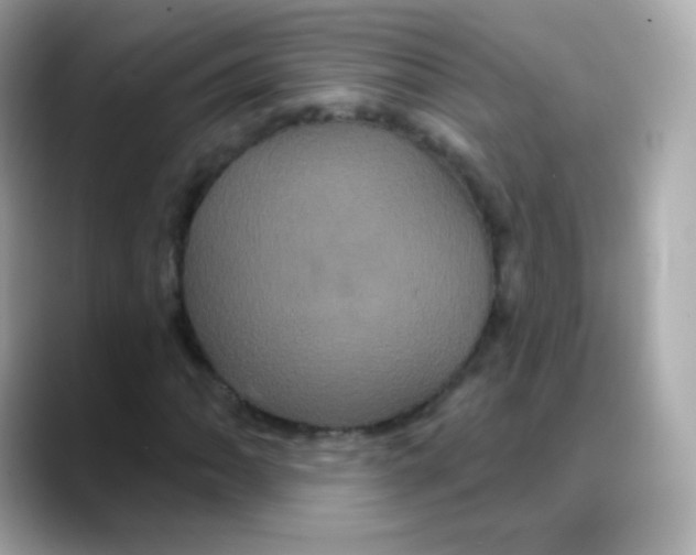 X0000088141062200706042004