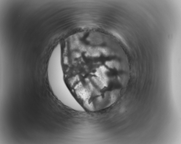 X0000088141063200706042004