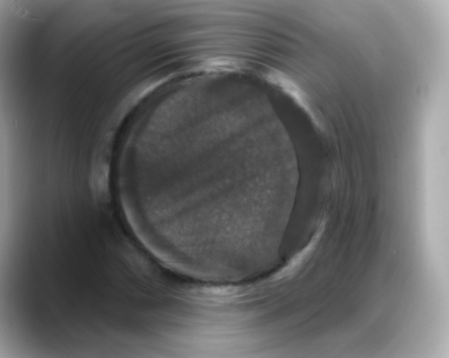 X0000088141066200706042004