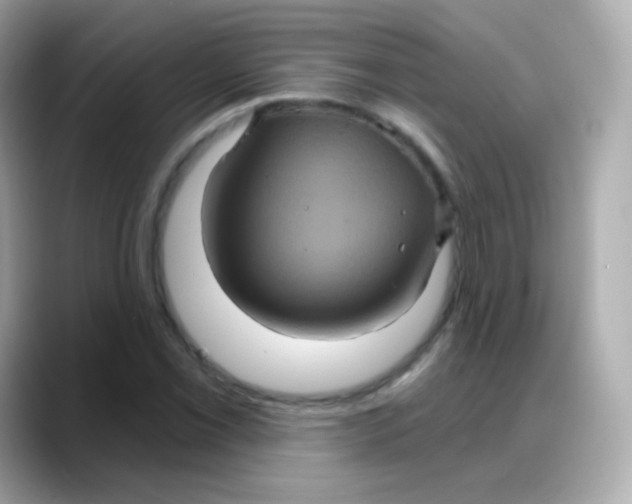 X0000088141069200706042004