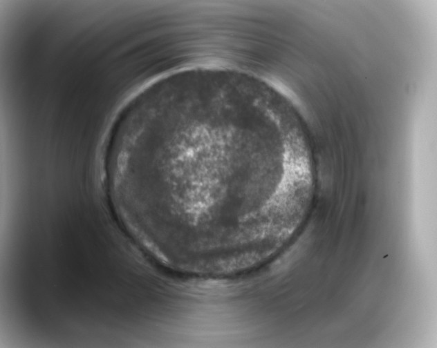 X0000088141070200706042004