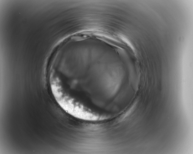 X0000088141071200706042004