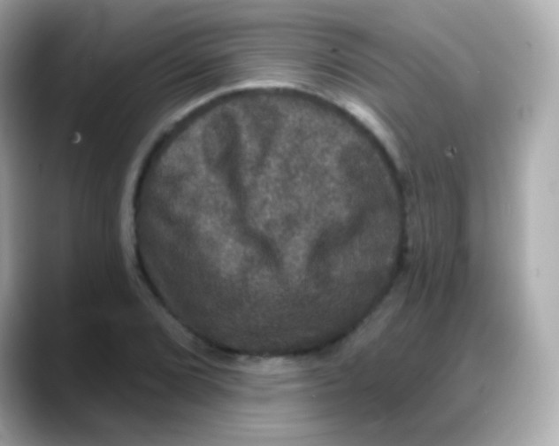 X0000088141072200706042004