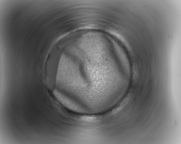 X0000088141073200706042004