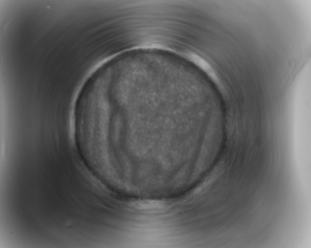 X0000088141076200706042004