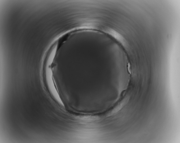 X0000088141077200706042004