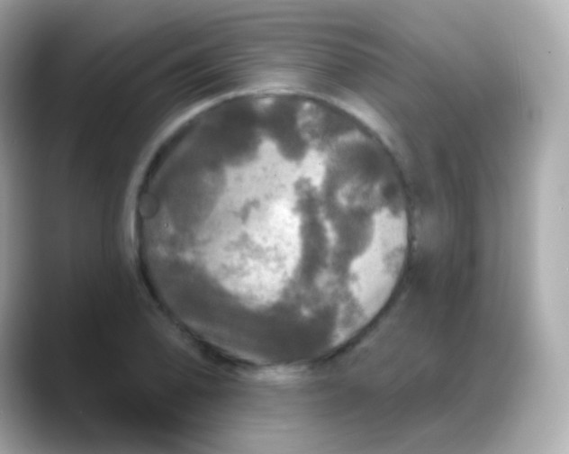 X0000088141078200706042004