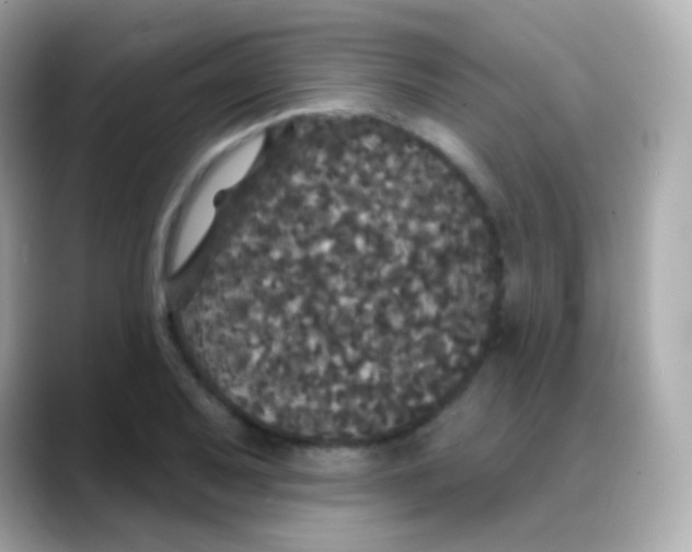 X0000088141079200706042004