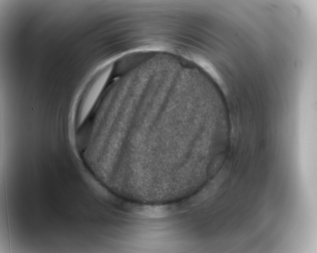 X0000088141080200706042004