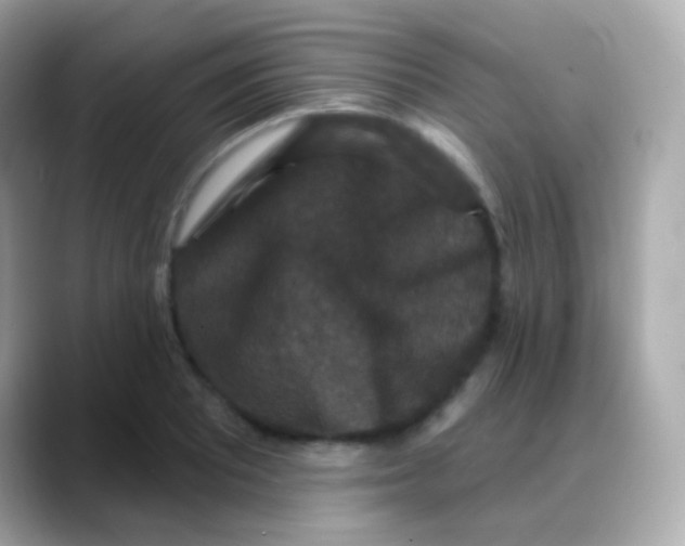 X0000088141081200706042004