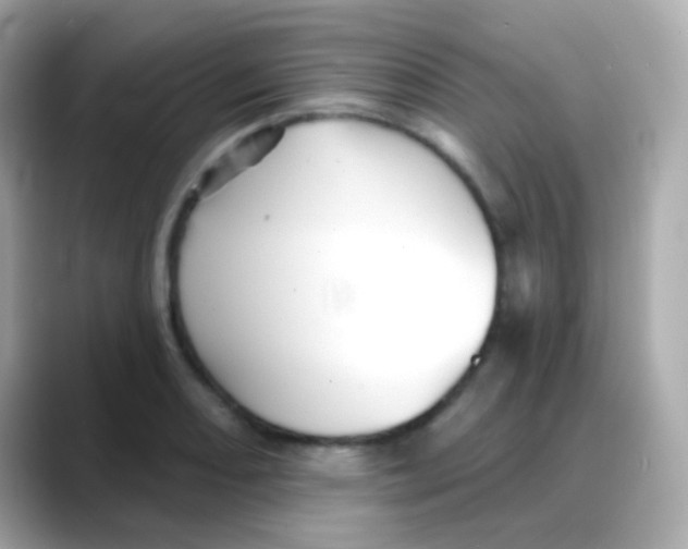 X0000088141082200706042004