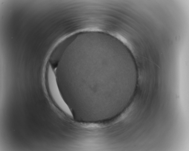 X0000088141085200706042004