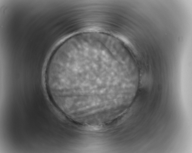 X0000088141086200706042004