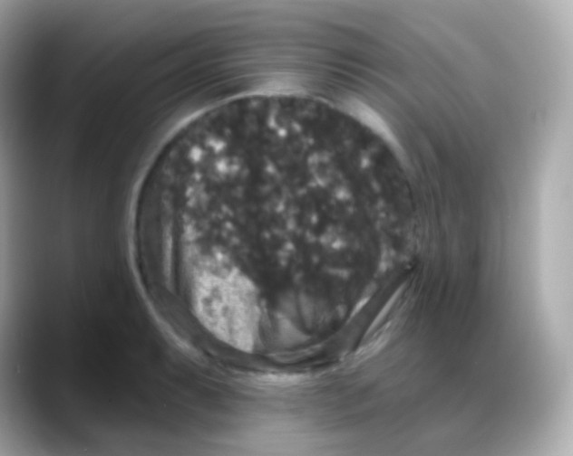 X0000088141087200706042004